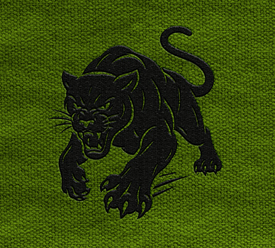 Custom Embroidery Services For Fabric - Davis Materialworks